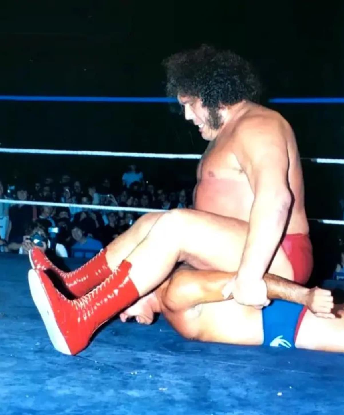 andre the giant 1982